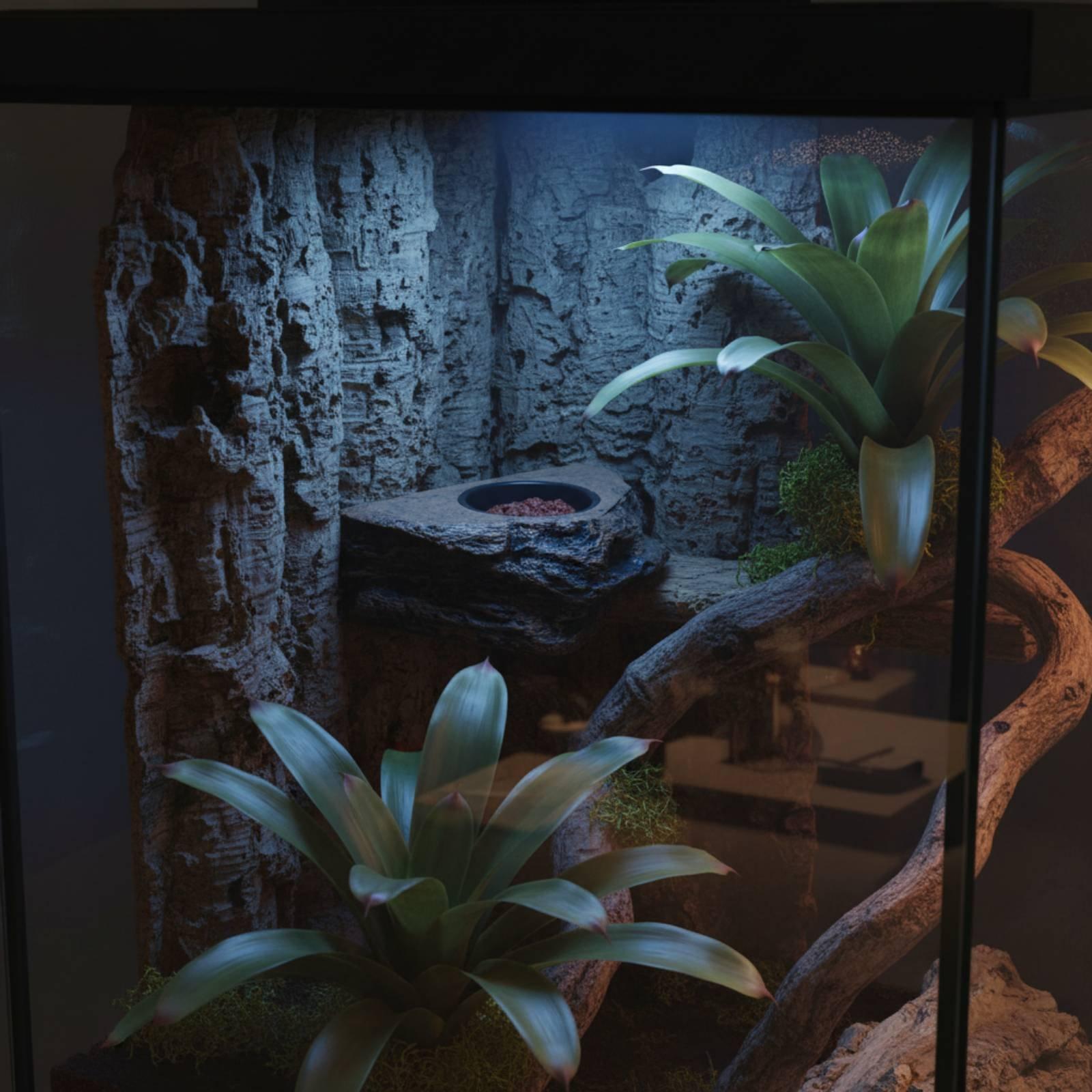 Water Dish Reptile - Półka na karmę i wodę dla
