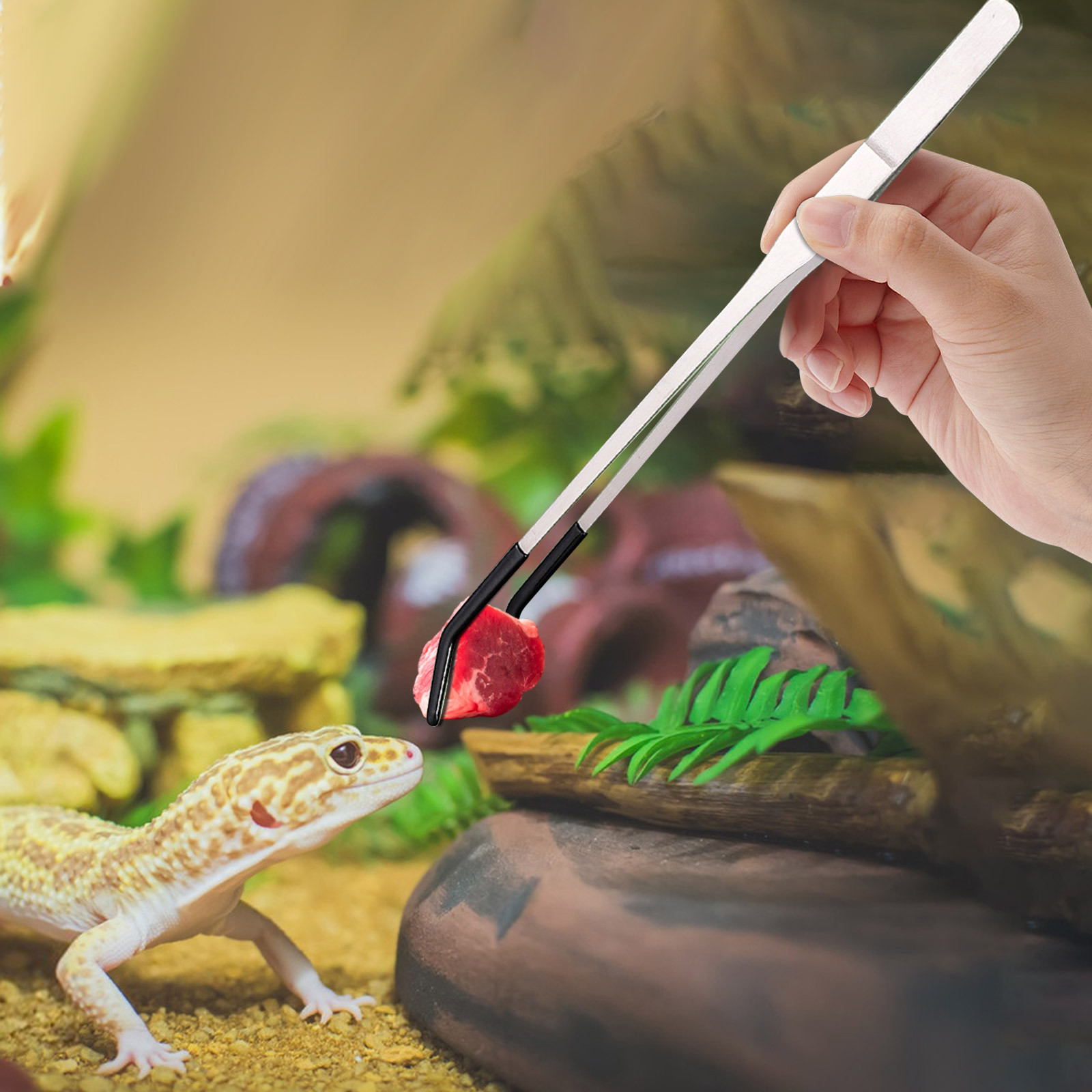Water Dish Reptile - Długie szczypce do karmienia gadów ze