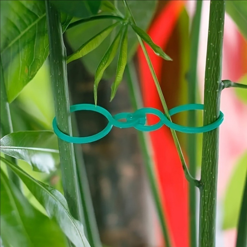 125 szt. Zestaw do podtrzymywa – Vine Climbing Plastic recenzja i cena