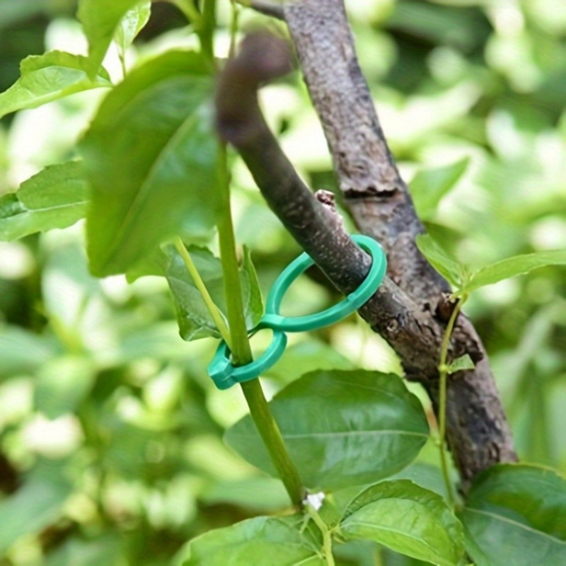125 szt. Zestaw do podtrzymywa – Vine Climbing Plastic recenzja i cena