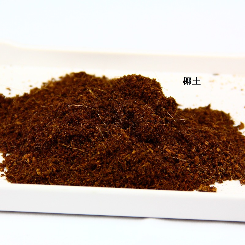 Cegła z włókna kokosowego, pod – Substrate Coconut Fiber recenzja i cena