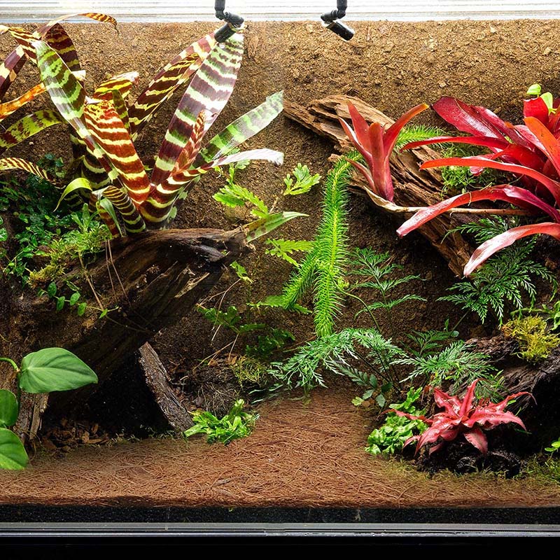 AB33 - Mata z naturalnego włók – Substrate Coconut Fiber recenzja i cena