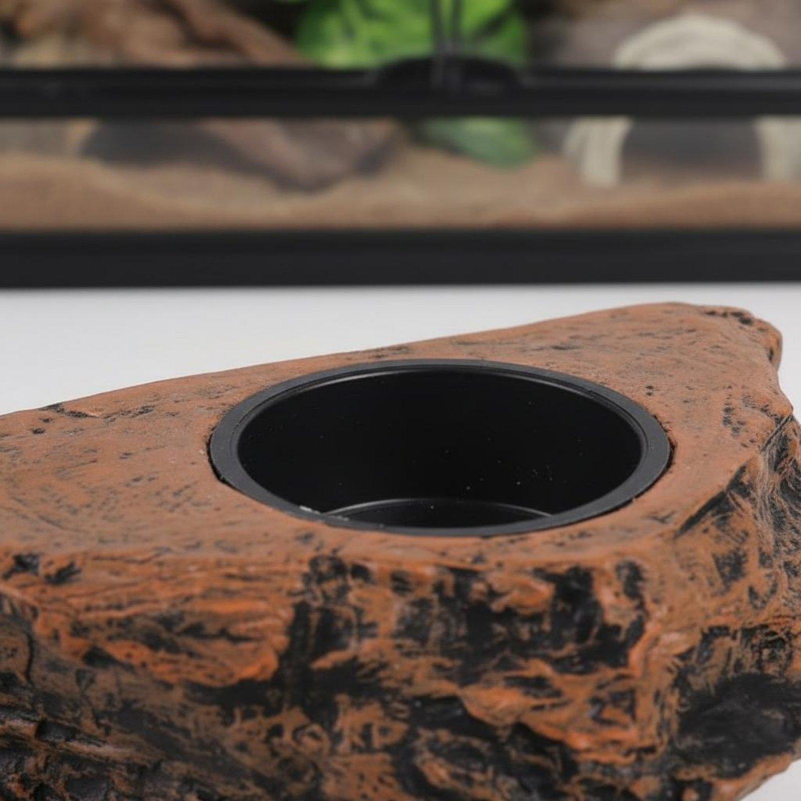Półka na karmę i wodę dla geko – Water Dish Reptile recenzja i cena