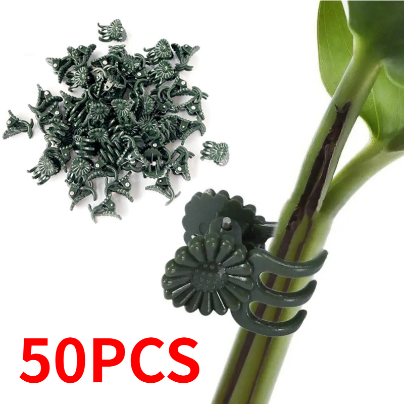 50 szt. 5-ramiennych ciemnozie – Vine Climbing Plastic recenzja i cena