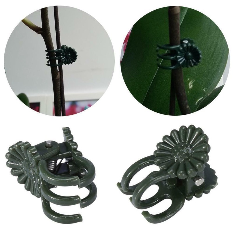 50 szt. 5-ramiennych ciemnozie – Vine Climbing Plastic recenzja i cena