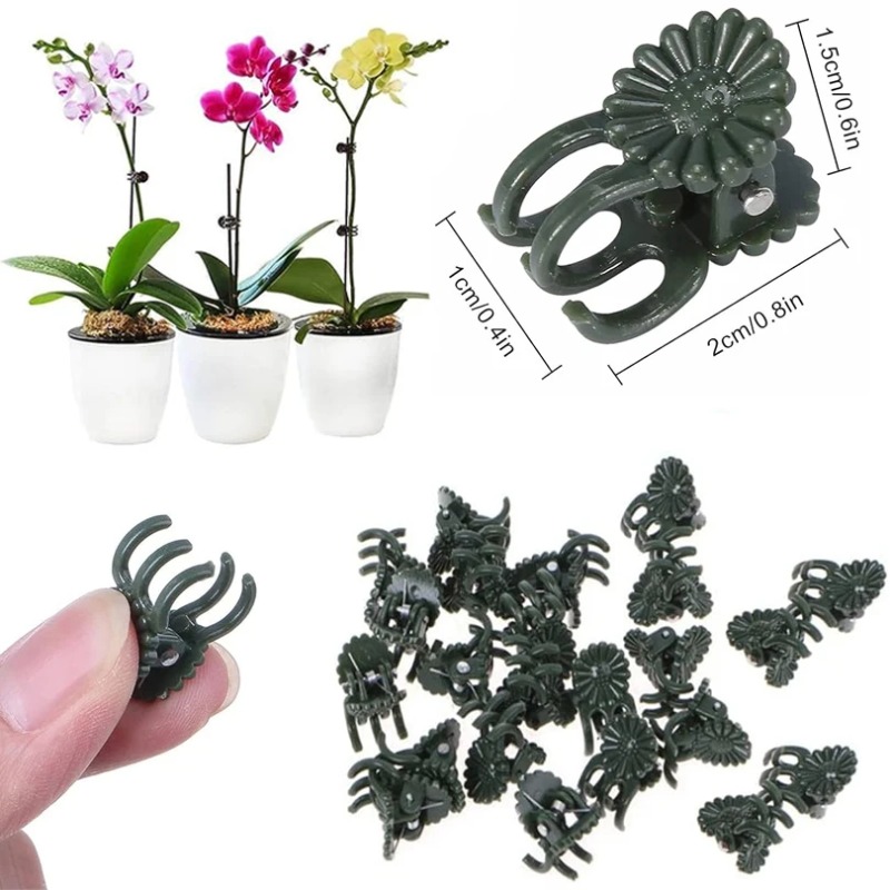 50 szt. 5-ramiennych ciemnozie – Vine Climbing Plastic recenzja i cena