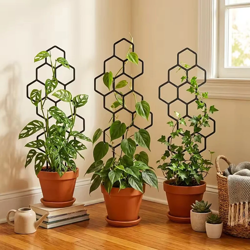 2/4 szt. Plastikowe podpórki d – Vine Climbing Plastic recenzja i cena