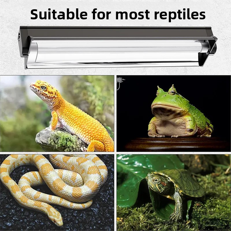 Zestaw oświetleniowy dla gadów – Calcium Powder Reptile recenzja i cena
